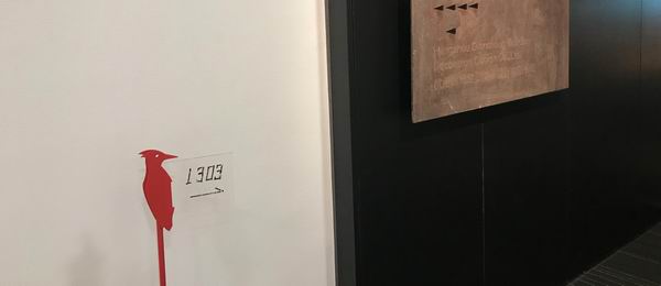 探班陈耀光老师项目工地