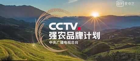 农业农村部派出11个专家组 赴重点地区开展防灾减灾和春耕备耕调研指导